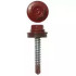 Шурупы KPcZP 5.5x19 RAL3005 красн.вино